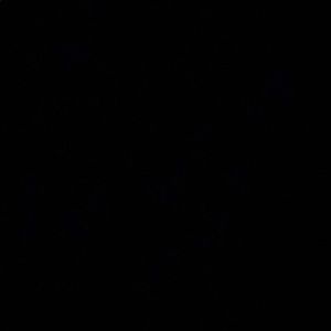 Meet your Posher, Riley